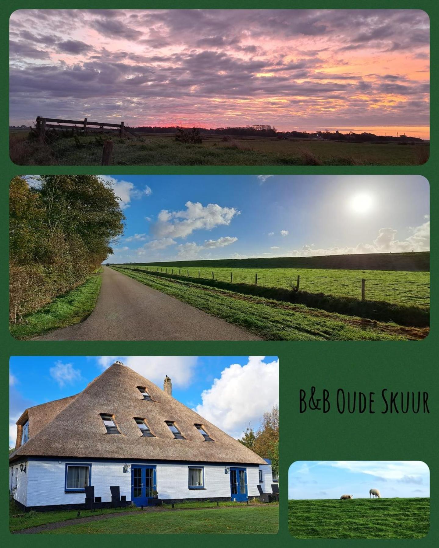 B&B De Oude Skuur Texel Oosterend  Extérieur photo